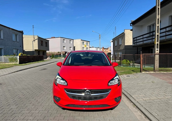 Opel Corsa cena 32900 przebieg: 37788, rok produkcji 2015 z Zbąszyń małe 106